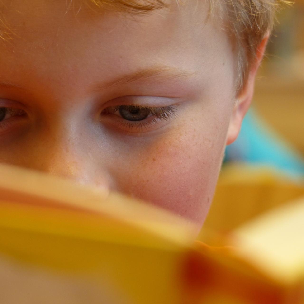 Lesender Bub. Gesicht halb durch aufgeschlagenes Buch verdeckt